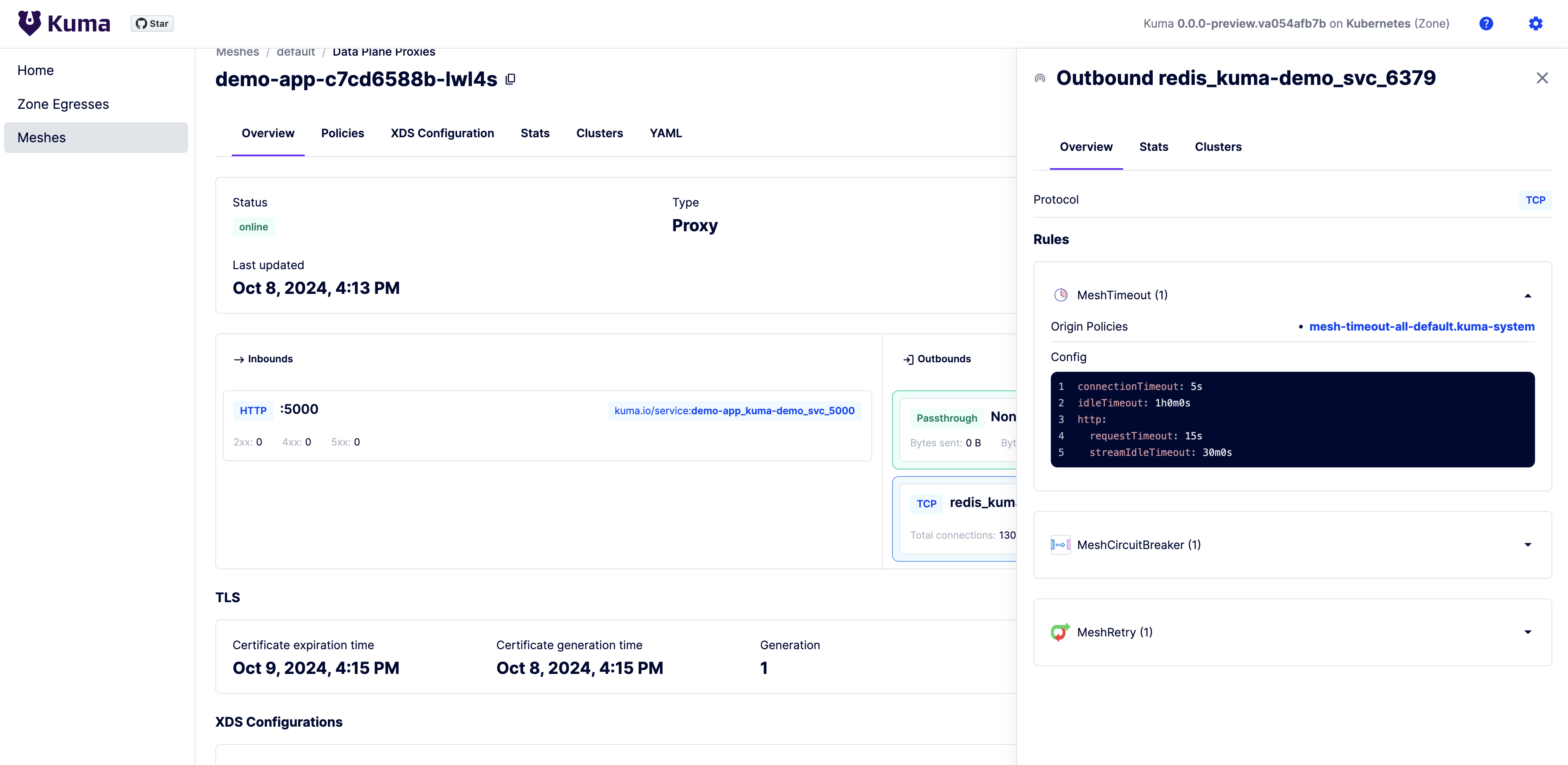 A screenshot the dataplane outbound overview with Envoy stats